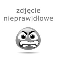 Zdjęcie główne